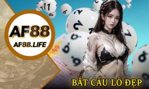 Bắt cầu lô đẹp