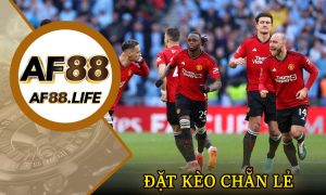 Cách đặt kèo chẵn lẻ