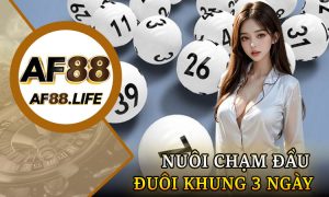 Nuôi Chạm Đầu Đuôi Khung 3 Ngày