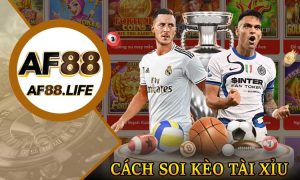 Cách Soi Kèo Tài Xỉu